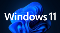 Pandora for Windows 11